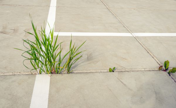 Concrete Parking Installation in Bethlehem